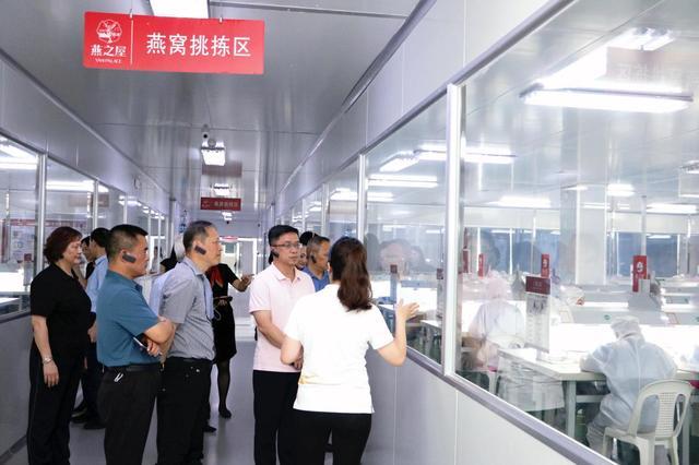 见证高品质好燕窝的诞生,厦门市工商联企业家一行探寻