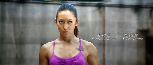 [2013] [大陆] [剧情] [bt下载][功夫战斗机][hd-mp4/2.