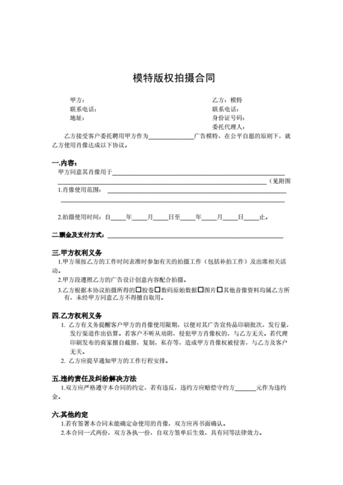 模特合作合同书范本(多篇).doc 20页