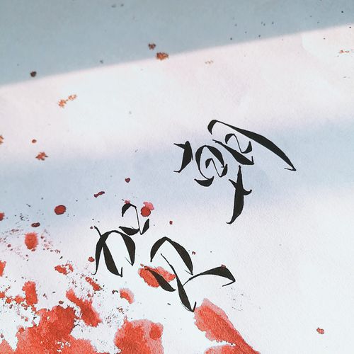 「贺朝」