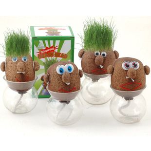 非洲草娃娃 长草娃娃/mr grass head 青草种植 创意礼品 工艺品