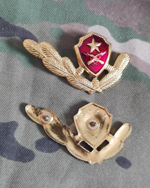 退役徽章欣赏八七式武警领花