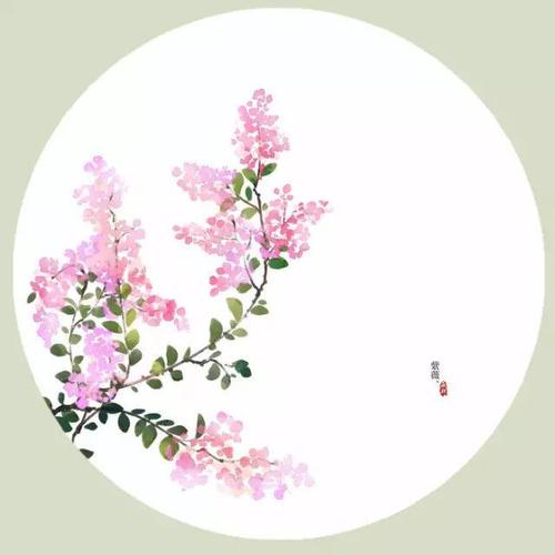 紫薇花 /杜牧