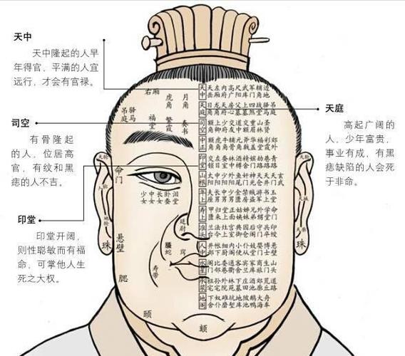 男人的十种富贵面相图解