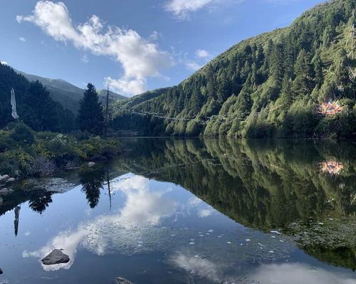 印象  鹧鸪飞雪好 达尔宗湖" 本来计划8月3号早晨才去的,结果从扎尕那