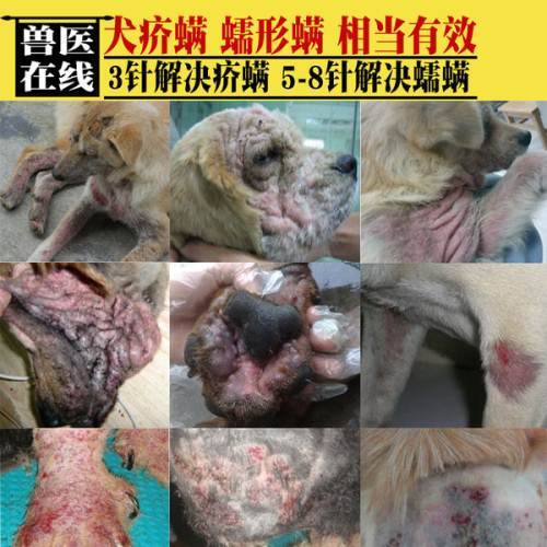 伊维菌素针剂狗狗螨虫犬皮肤病宠物去疥螨蠕形螨药多拉菌