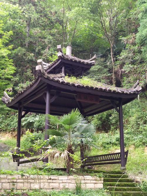 房间外面的山上,亭子上挂的牌子上写的是"森林浴场",环境确实有天然