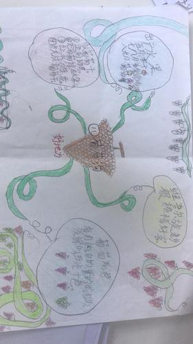 葡萄沟手抄报简笔画