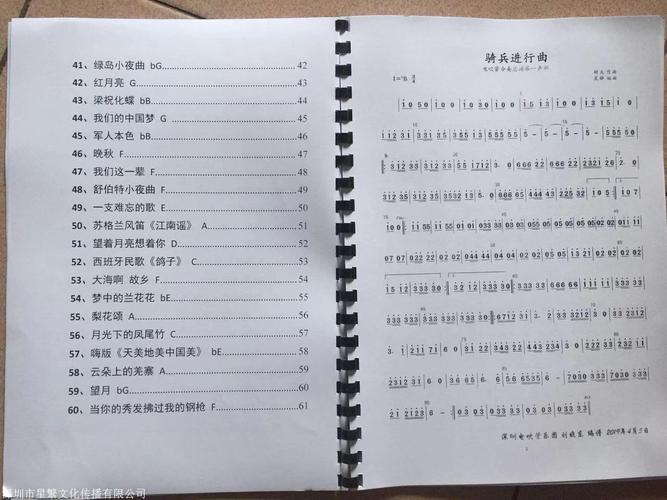 电吹管罗兰ae-10教程及优盘歌谱教材