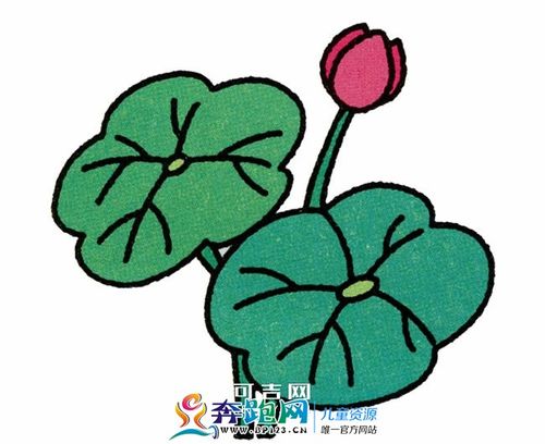 荷花荷叶的简笔画,先画荷叶,然后是花苞,再画出花叶的茎杆,挺简单的哟
