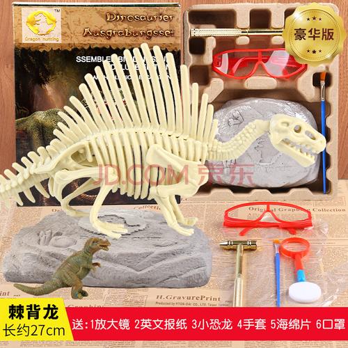 儿童恐龙化石考古挖掘玩具手工diy宝石侏罗纪霸王龙骨架拼装模型 棘背