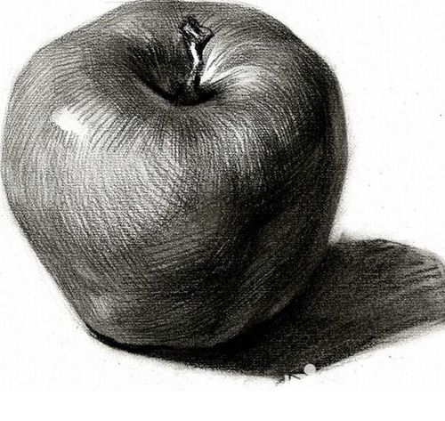 单个超写实素描静物欣赏