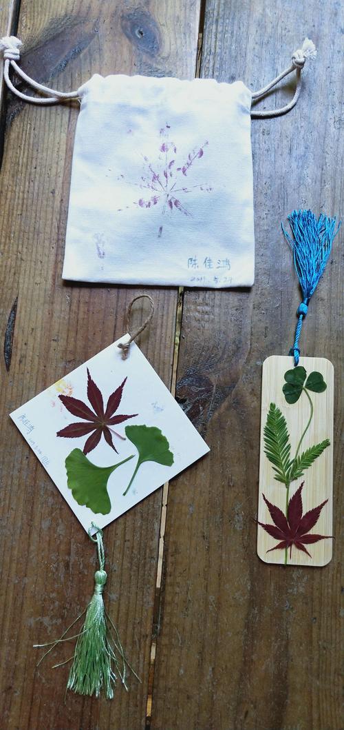植物敲染,手工书签棒棒哒!幸福满满!