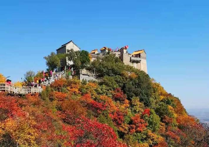 31日 周六 林州柏尖山赏秋