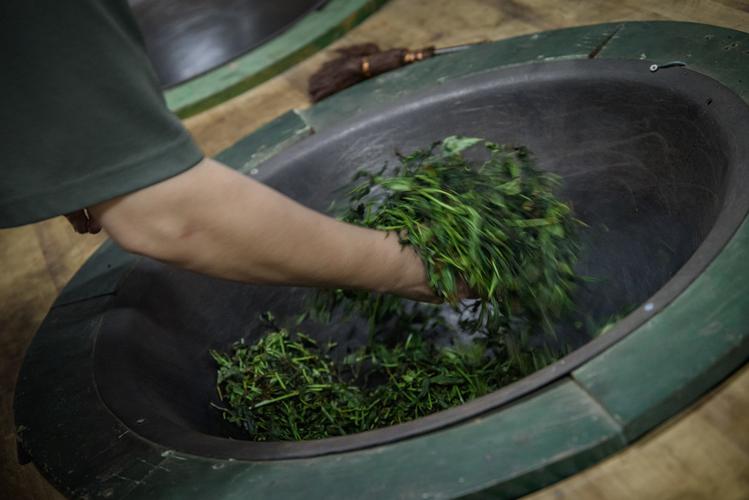 是特制的专为手工揉炒青炒青图片岩茶炒青岩茶揉捻乌龙茶炒青岩茶