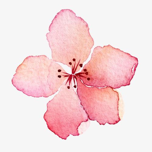 搜图中国提供独家原创水彩桃花下载,此素材图片已被下载1813次,被收藏