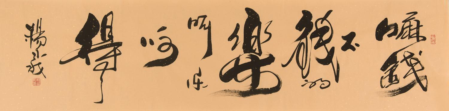 杨议 书法