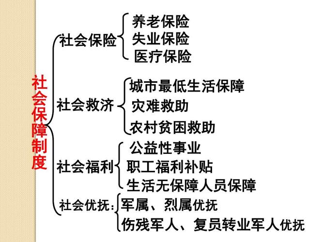 2.3《我国的社会保障制度》课件(大纲版高一上