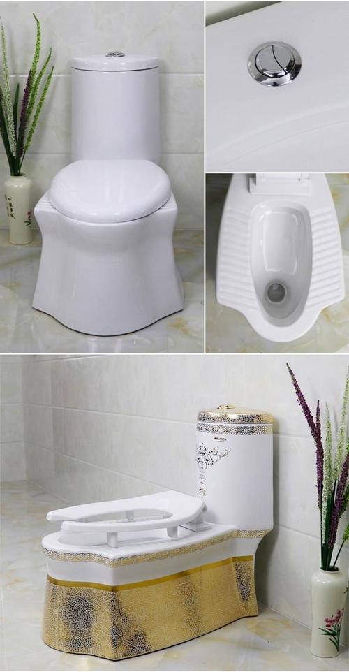 蹲坐两用陶瓷坐便器马桶双用蹲式蹲便器座便器一体式蹲坑座蹲座式