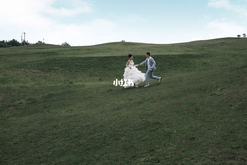 驻马店鲍棚内蒙大草原你去过吗?