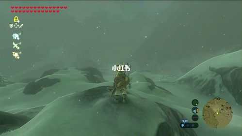 switch塞尔达雪山神庙托库摩神庙入口