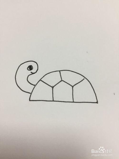 百度简笔画乌龟