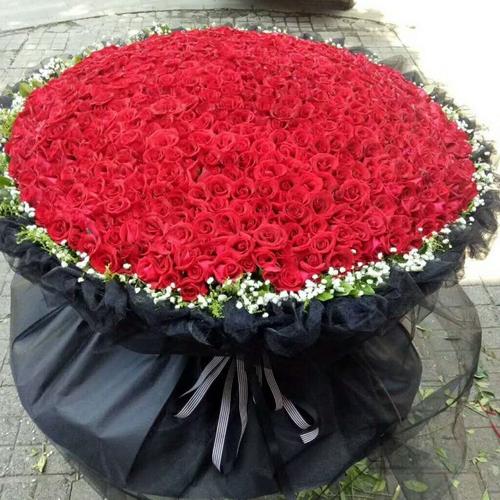 520,999朵红粉白玫瑰南阳市宛城卧龙邓州南召方城区鲜花同城速递