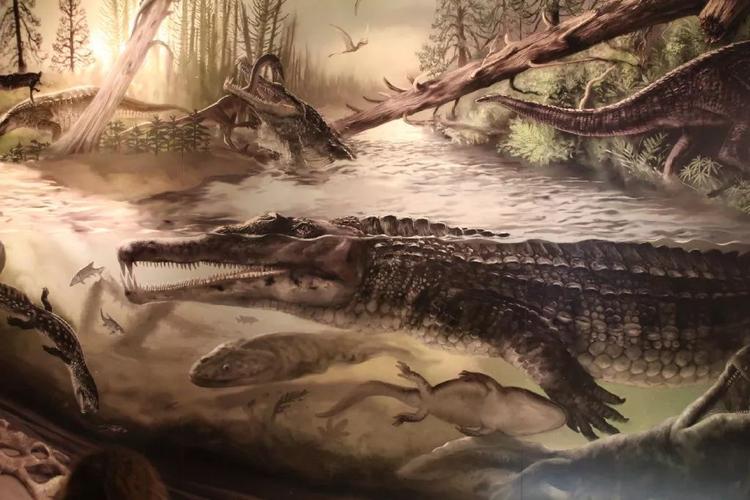 鳄鱼的前辈——植龙