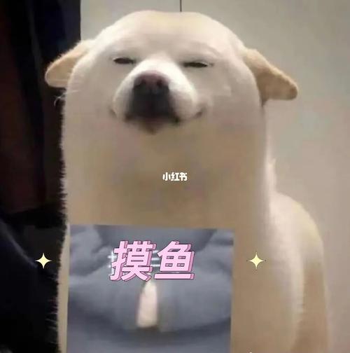 摸鱼的一天_上班摸鱼_生活记录_接地气生活
