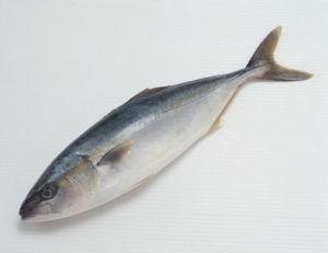 池鱼的池鱼菜肴