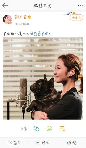 和张木易在一起的张千巽是怀孕了吗?
