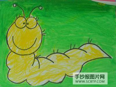 毛毛虫蝴蝶小鸟的手抄报 鸟的手抄报