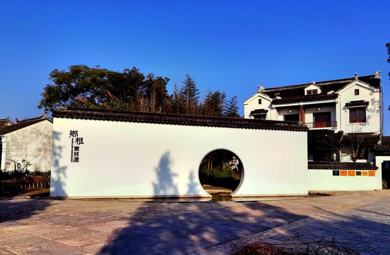 苏州横泾东林渡村,一片片金灿灿的稻穗飘香,预示着又一个丰收年,来到