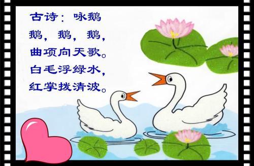古诗咏鹅图片