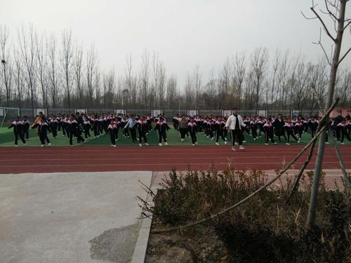 杨安镇小学校园文化建设比赛