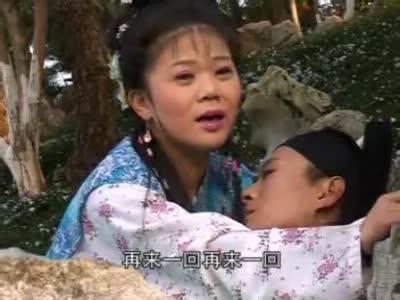 安徽庐剧视频下载含名剧梁祝孟姜女秦香莲等