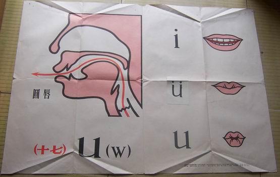 汉语拼音字母发音教学示意图