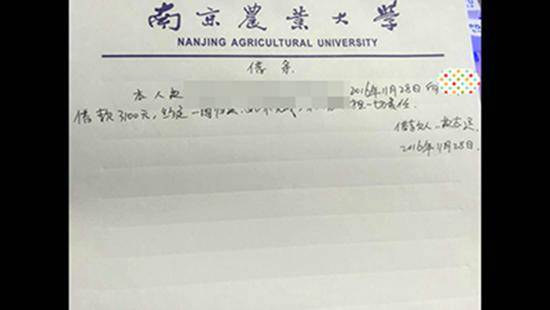 南京大学生利用校园贷诈骗180万 专挑同学下手