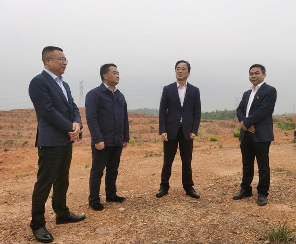 醴陵市政府 - 市委副书记,市长王利波赴石亭镇调研