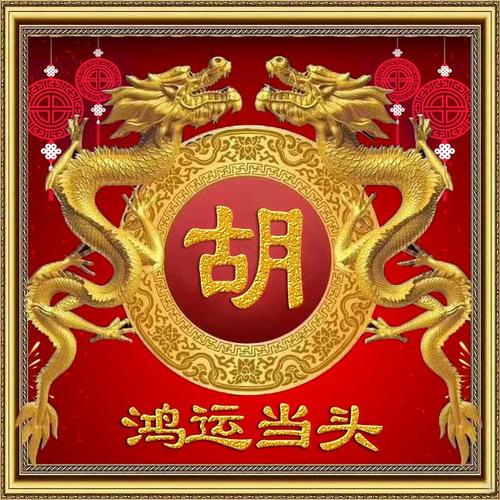 美图鉴赏:微信里那些霸气的中国龙姓氏头像!