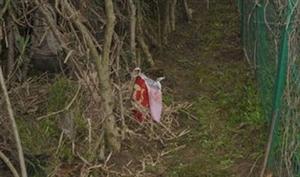 湟中李家山小树林发现女尸,情杀?仇杀?