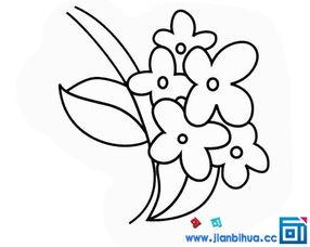 桂花树儿童画图片