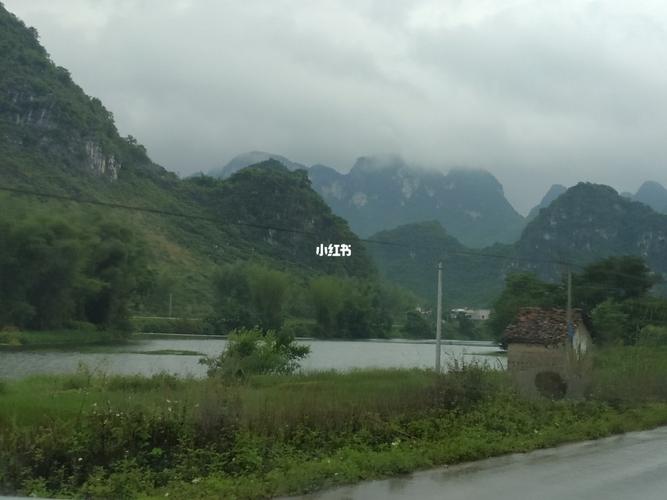 上林县白马浪龙虾养殖基地_龙虾_餐厅_小龙虾_上林县白圩镇赵坐村民