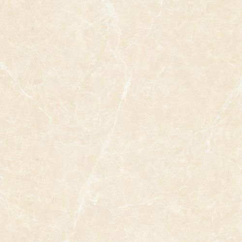 白玉兰 hpeg80001,800x800mm,hpeg96001,600x900mm