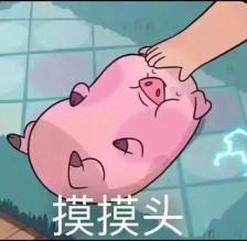 (狗头/猪头)