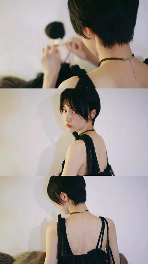 超清墙纸:诸葛大力(成果)壁纸