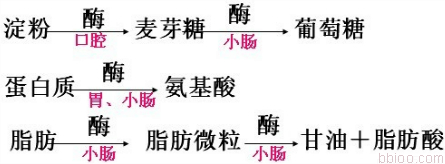 淀粉在消化道中最终被分解成( ) a.葡萄糖 b.二氧化碳