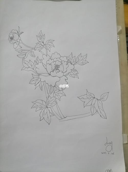 花卉_花卉_素描_素描花卉_文化_绘画