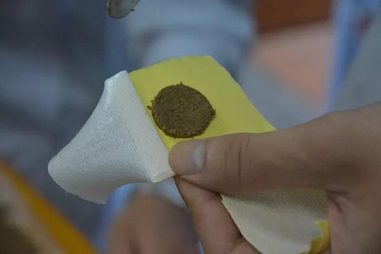 【正骨医讯】顺应节气 精准施治——正骨"三伏灸"开始预约啦!
