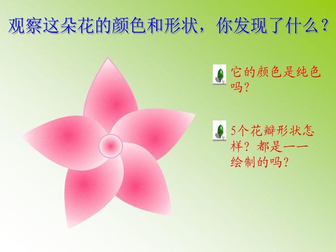 5个花瓣形状怎 样?都是一一 绘制的吗?